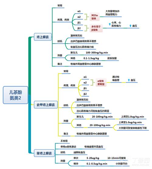 思维导图-各种休克与血管活性药物的使用