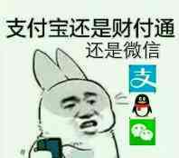 兔子掏出手机付钱:支付宝还是财付通还是微信?_金馆长
