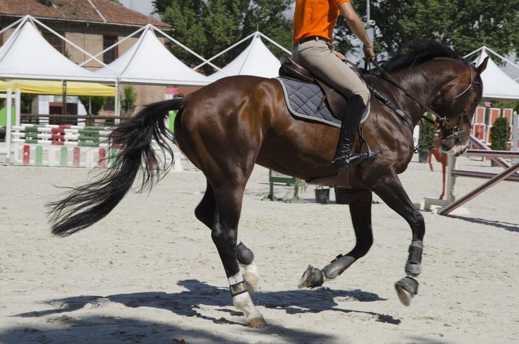 骑马图片-骑马图片大全-骑马图片素材