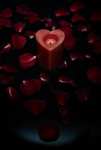 花瓣红烛红色心形蜡烛玫瑰花瓣