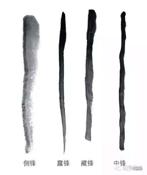 国画大白菜西红柿辣椒玉米香菇写意画法步骤图