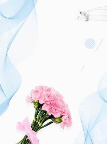 康乃馨广告背景