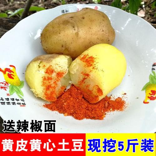 5斤黄皮黄心土豆新鲜大土豆马铃薯大号大个洋芋 贵州威宁土豆蔬菜