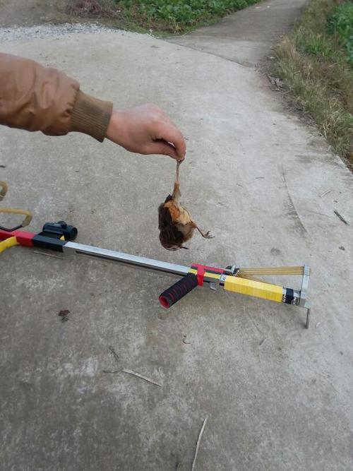 枪式弹弓怎样能带上火车,谢谢你们的回答