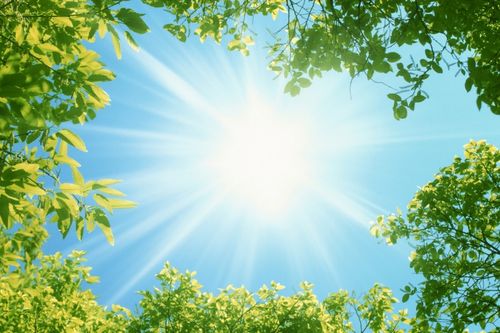 绿荫阳光图片 - 第19张