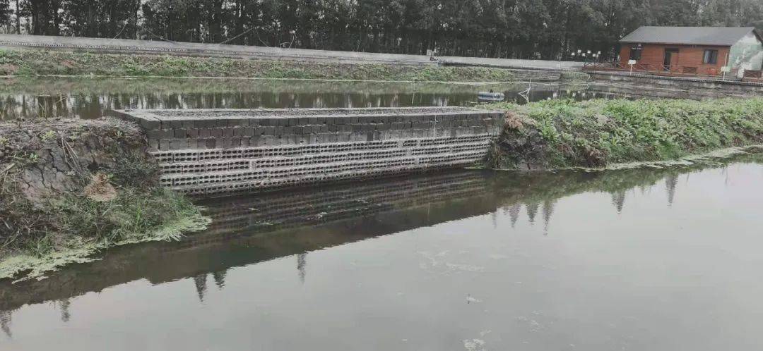 河姆渡军列甲鱼养殖场