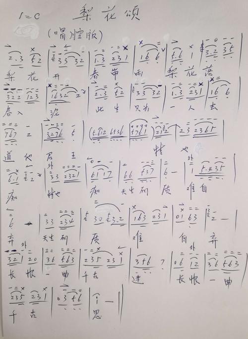 二胡曲唱腔版梨花颂简谱