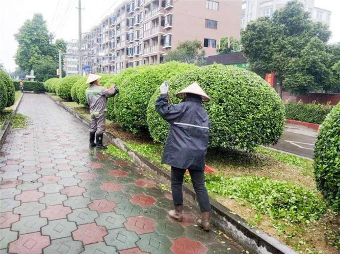 园林养护:芜湖绿化养护施工