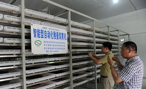 首台智能养蚕机将被纳入农机补贴