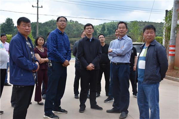 王刚到宣威市羊场镇检查指导易地扶贫搬迁工作