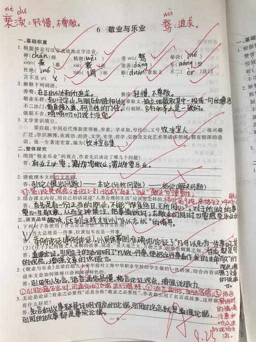 错题订正展示