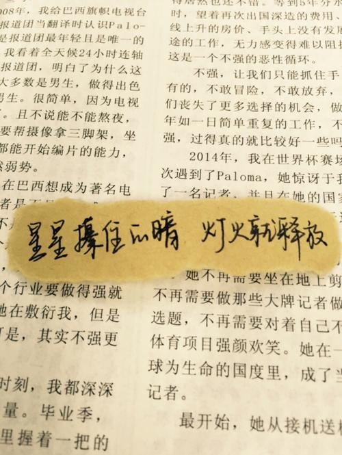 手写纯文字 歌词 文艺短句 与屿会发光i 代写手写文字 一元店铺 下单