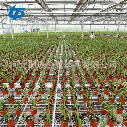 花卉养殖花架移动苗床网 花卉苗床 养花苗床网 多肉植物苗床