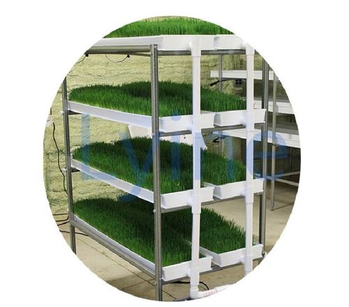 lyine pvc种植盘芽菜盘育苗盘小麦草豆芽盘无土栽培水培架定制