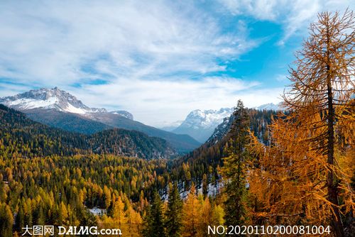 大山之中的森林雪后美景摄影图片