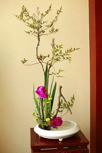 源花周品 | 对比,茶室插花与茶席插花