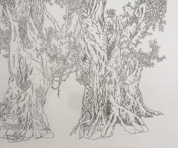 花卉树木钢笔写生集 写美篇…… 一片片绿叶,一份份诗意, 一幅幅画卷