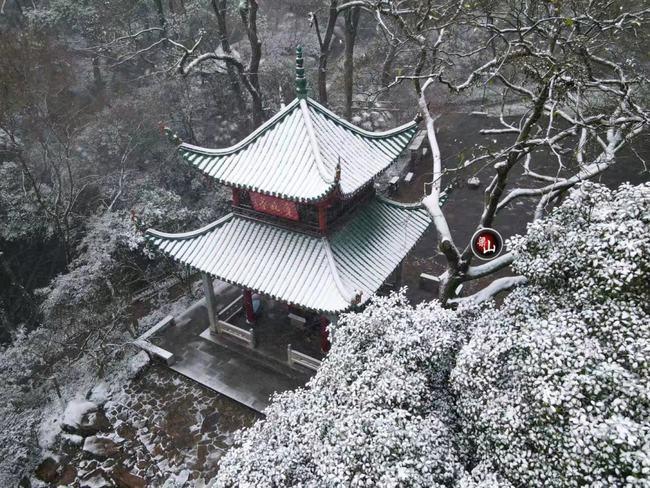 长沙大雪!还在下!|橘子洲|瑞雪兆丰年|雪景_网易订阅