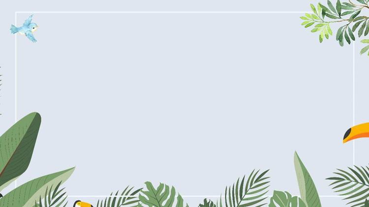 四张卡通大嘴鸟阔叶植物叶子ppt背景图片