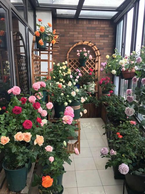 封闭阳台养花,防盗窗有大用,1平米也能变花园!