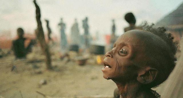 网易首页>网易号>正文申请入驻> 而且比那个照片中骨瘦如柴的孩子结局