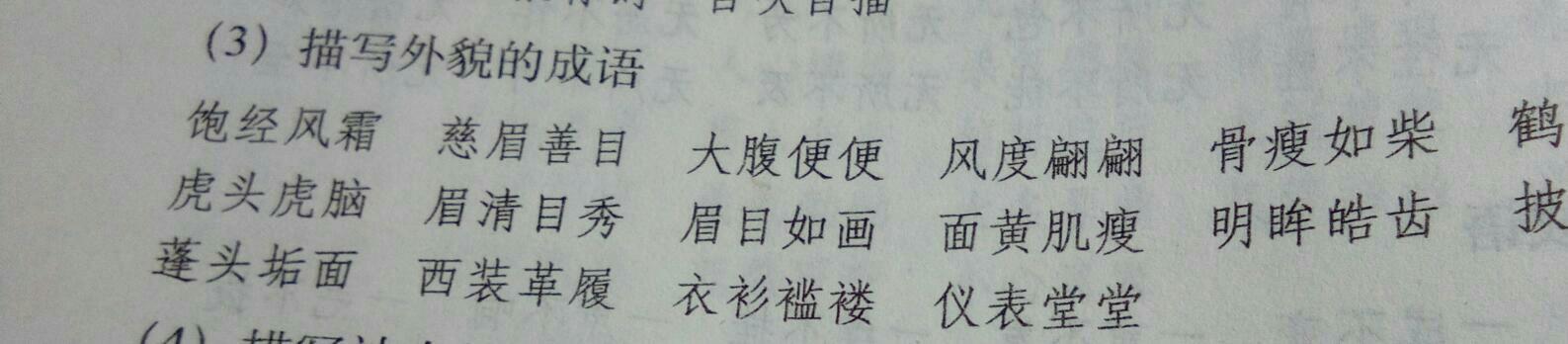 有谁知道描写外貌的成语有哪些?
