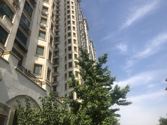 置城8号公馆,金宇路-济宁置城8号公馆二手房,租房