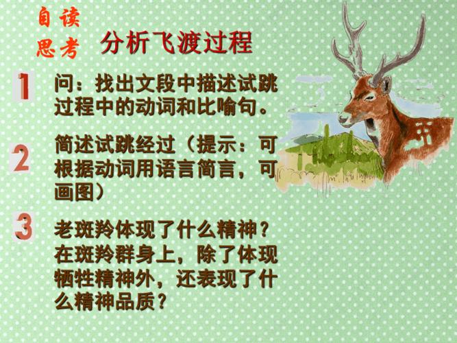 斑羚飞渡课件4