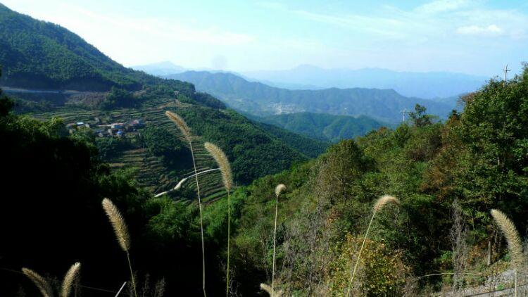 登诸暨第二高峰,南园尖上数风车(诸暨大爽村～大潦岭～南园尖～大炮岗