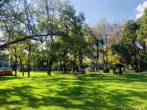 西华园,昆明,西华公园,孩子