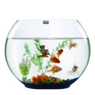 【鱼缸扁形玻璃图片】鱼缸扁形玻璃图片大全_好便宜网