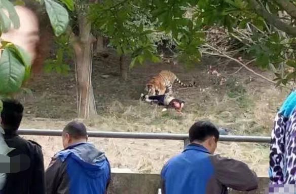 "进入西安秦岭野生动物园园区后,这几人拿到钱后称,有些区域是不能
