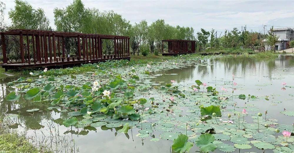 探索廊下郊野公园将新增7个景点预计6月底对外开放