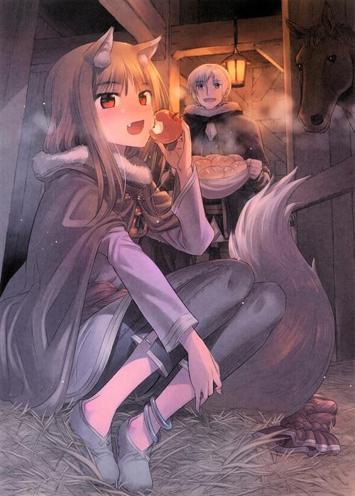 赫萝乃大丰收贤狼是也 _ 哔哩哔哩相簿