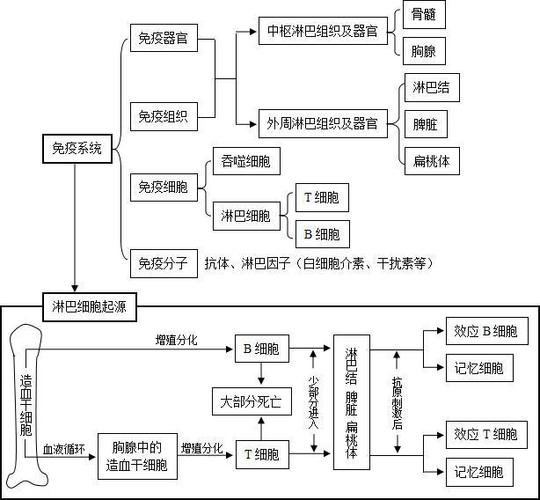 高中生物:最全生命活动调节知识结构图,高中生别错过