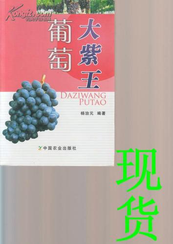 大紫王葡萄