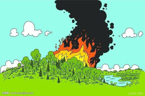 其它 关爱生命 远离火灾 写美篇森林火灾的发生.