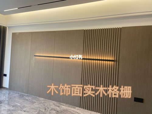 隐形门,格栅,柜体,墙板同色配套木饰面_衡阳自由行热门攻略_木饰面