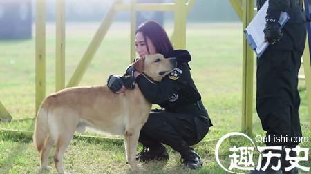 警花与警犬第10集剧情介绍 杜飞万金买车求真相