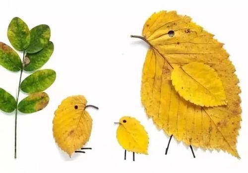 创意小手工 |秋天的树叶可以拼出整个动物园!