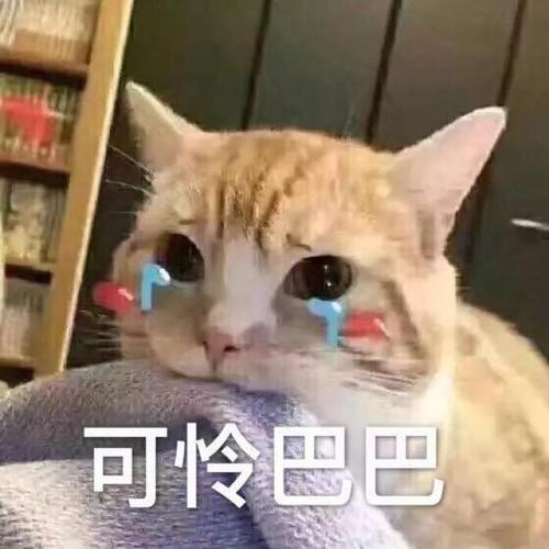 看了让人心软的认错表情包:你再不理我,你将失去我这个小可爱