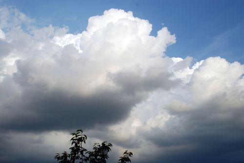 拍摄于重庆……_来自重庆照片的图片分享-堆糖网