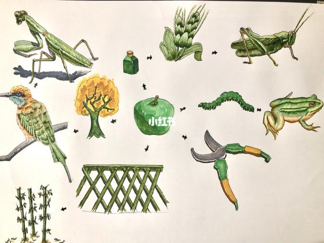 图形创意|关于苹果的联想 创意思维_苹果_联想怎么样