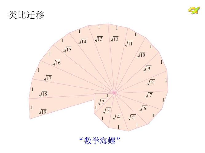 类比迁移 "数学海螺"