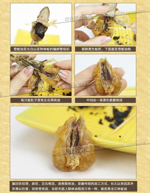 真品特有颗粒状纹理雪管网 色深 正品长白山雪蛤碎油