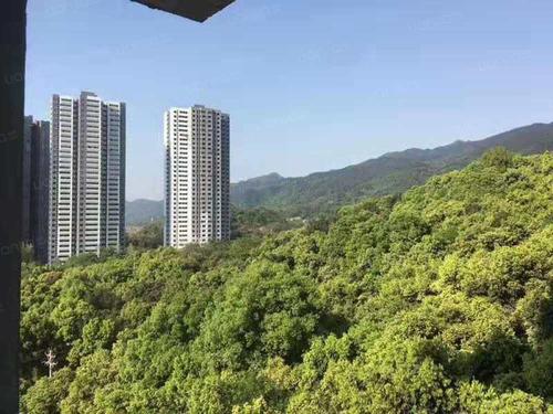 半山半园图片_半山半园实景图(重庆链家新房)