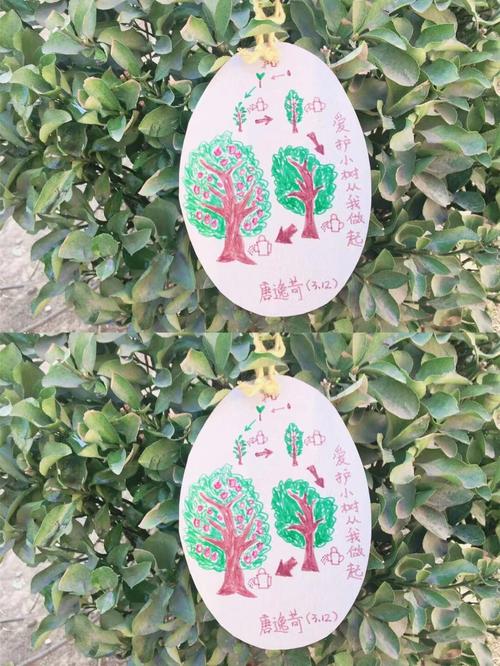 宝贝们把亲手做的"爱心卡"挂在树上和大树拥抱与小树牵手,同小树合影