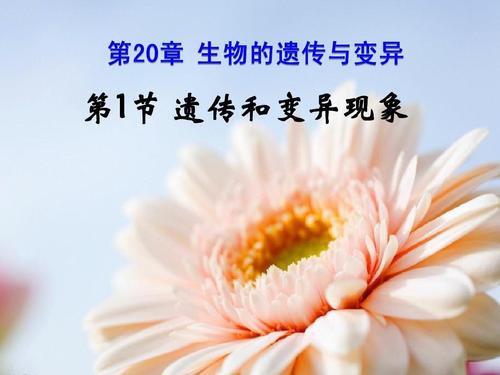 北师大版生物八年级上册20章1节遗传和变异现象精品课件ppt