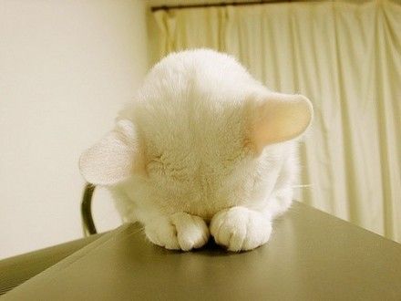 【表达道歉】1. i"m so sorry. 非常抱歉;2.i really