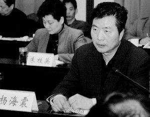 河南周口市政协原副主席杨海震一审被判15年